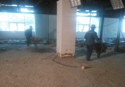 地砖深夜看免费网站深夜福利成人