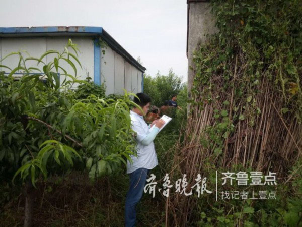 济南深夜看免费网站